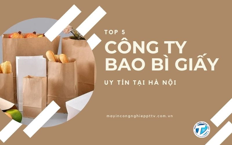 Top 5 công ty bao bì giấy uy tín tại Hà Nội
